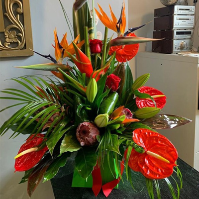 Pazzaz! - Make a big statement with this wowzers arrangement. A super arrangement that needs to be ordered with 2 days advance notice. Anthuriums, strelitzia, exotic foliage, lillies and protea (when available).