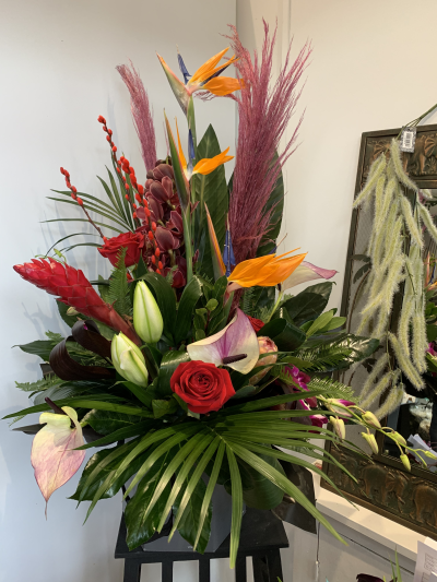 Miss birdy pie - Front facing arrangement of exotic flowers to include bird of paradise, heliconia, red roses, orchids and lillies