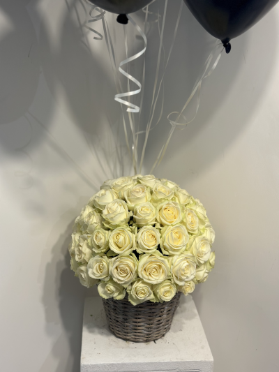 White Roses - White rose dome arrangament in a basket of pot. Modern design. 60 white roses