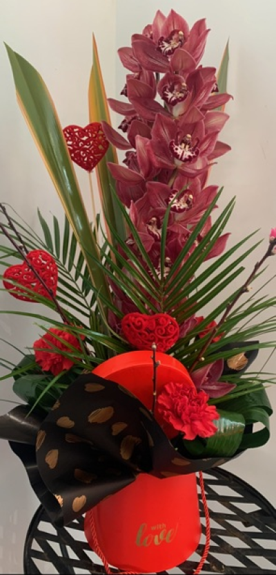 Orchid dream - Beautiful long lasting orchid with 3 red carnations and lush green foliage in a nice container. (Please note container may vary)