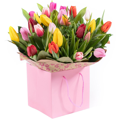 Tulips - Handtied of mixed coloured tulips with foliage in a nice box.